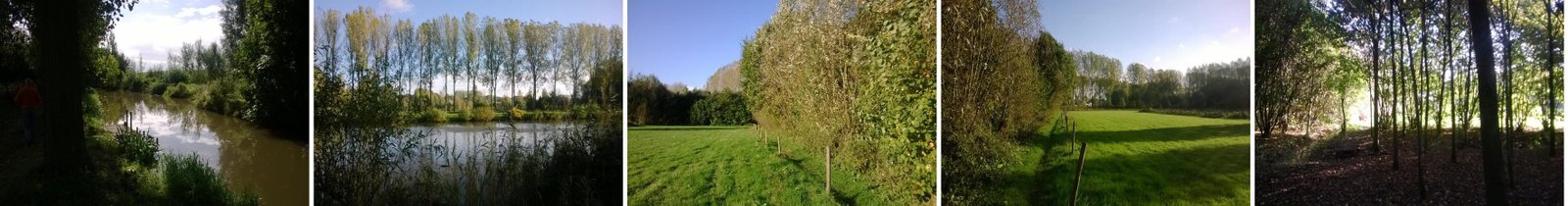 Natuur in de omgeving van B&B De Notelaar