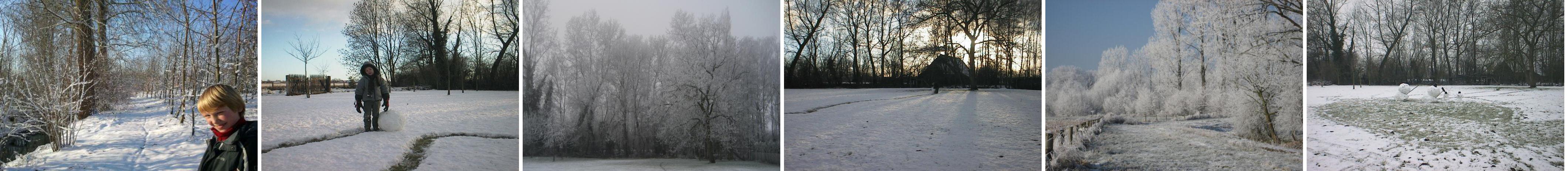 Photo Collection act-environment