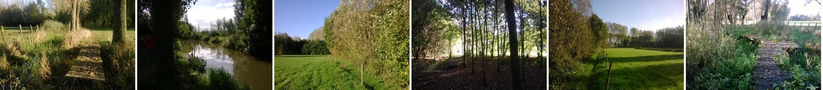 Geplande activiteiten bij B&B De Notelaar