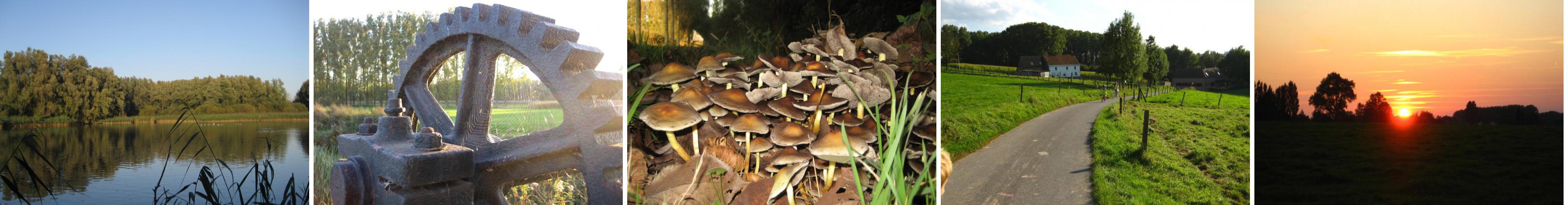 Photo Collection availability